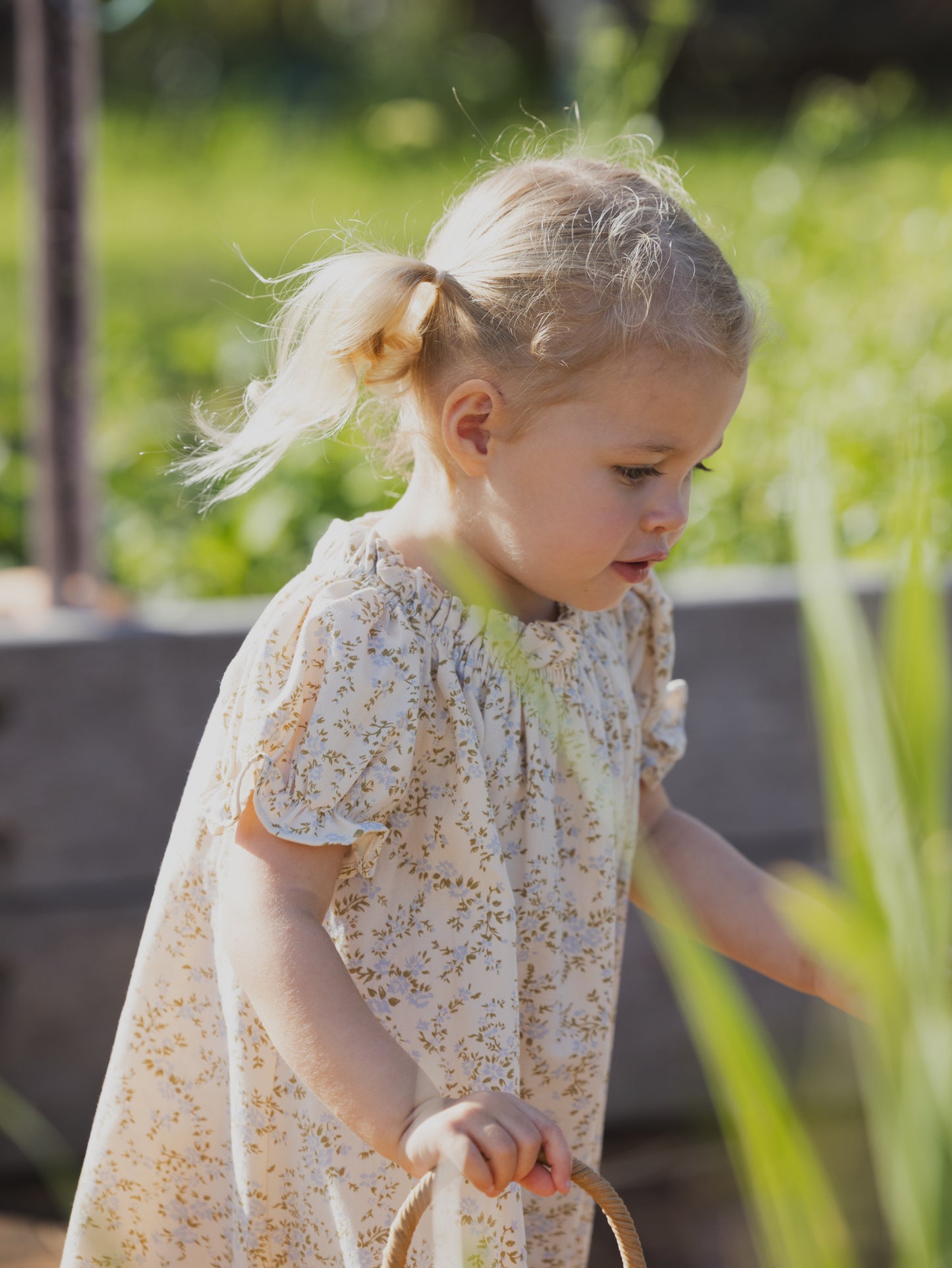 Aurelie Dress - Cornflower