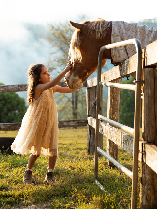 Valencia Tutu - Buttermilk